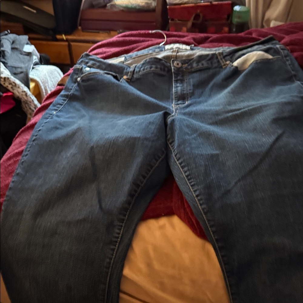 Torrid Dark Wash Denim Jeans